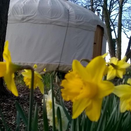 Gingerbread Cottage Yurts Dereham Екстер'єр фото