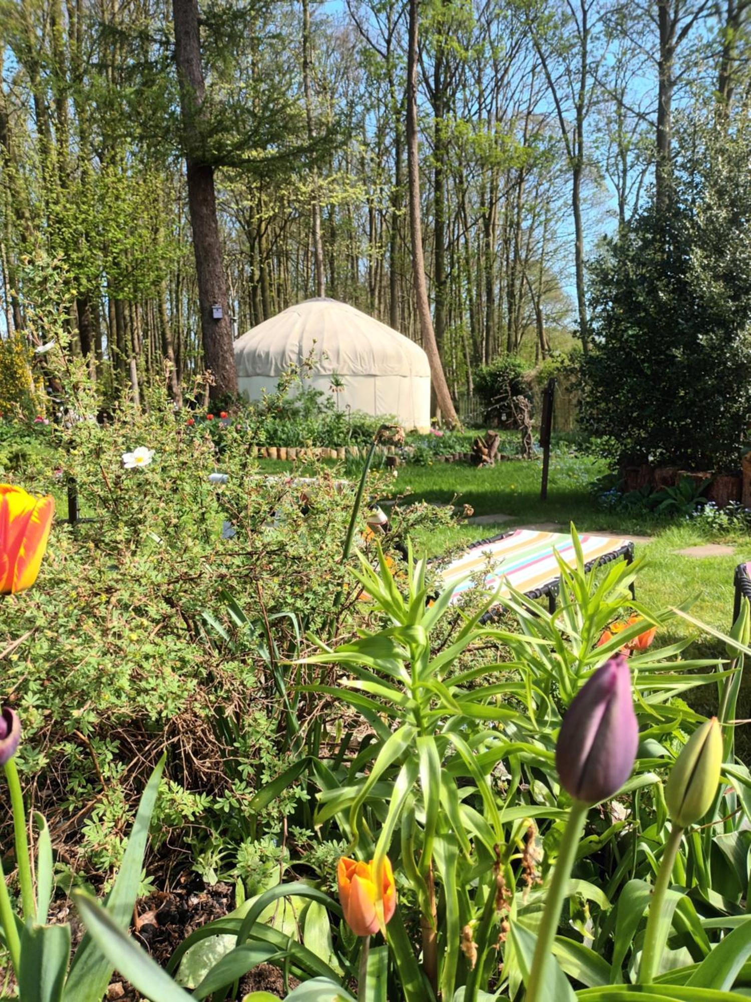 Gingerbread Cottage Yurts Dereham Екстер'єр фото