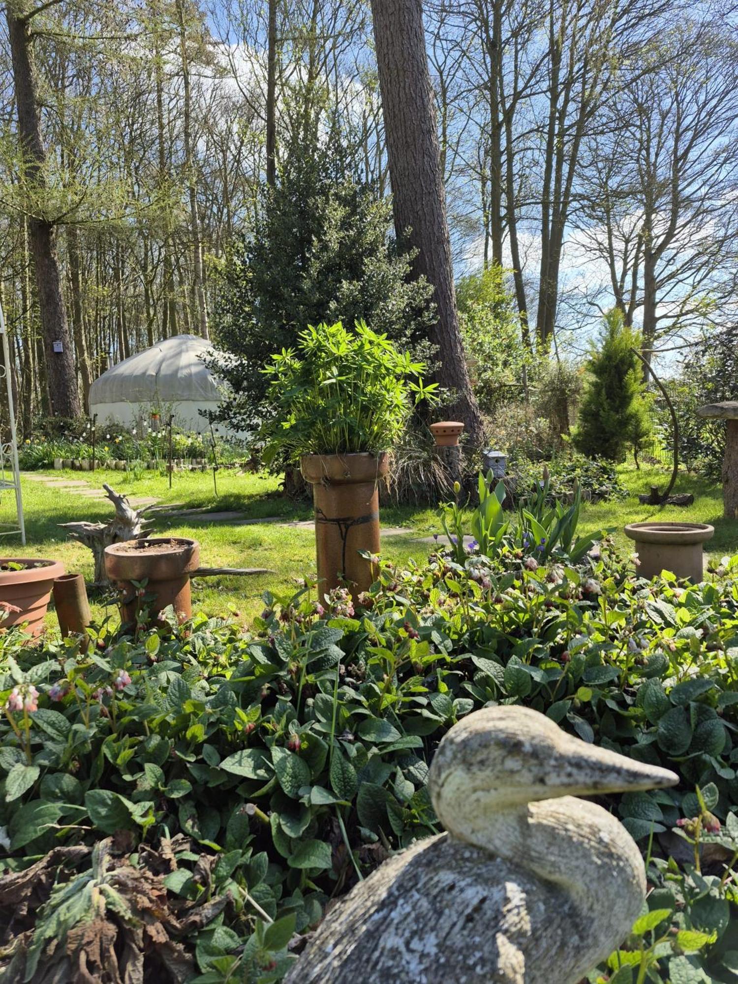 Gingerbread Cottage Yurts Dereham Екстер'єр фото