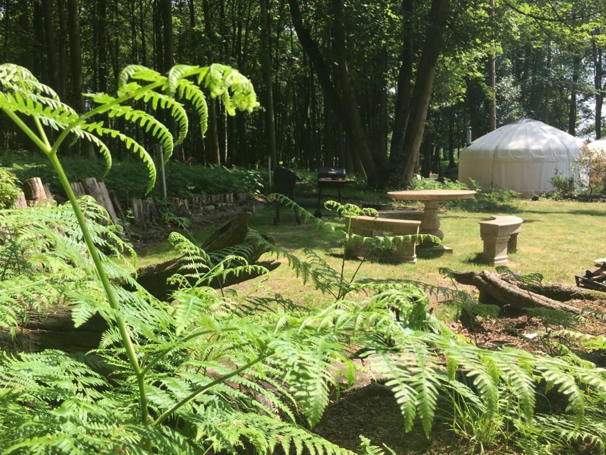 Gingerbread Cottage Yurts Dereham Екстер'єр фото