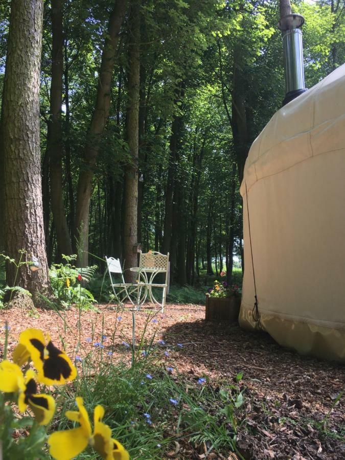 Gingerbread Cottage Yurts Dereham Екстер'єр фото